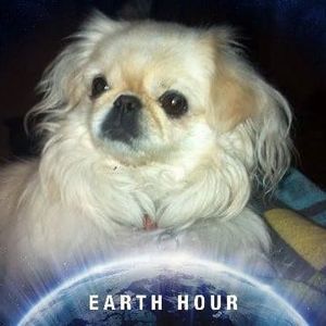 Meet your Posher, Theresia